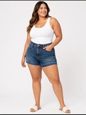 JUDY BLUE Released Hem Tummy Control Top Shorts size 3XL